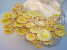 Limonenpilze züchten